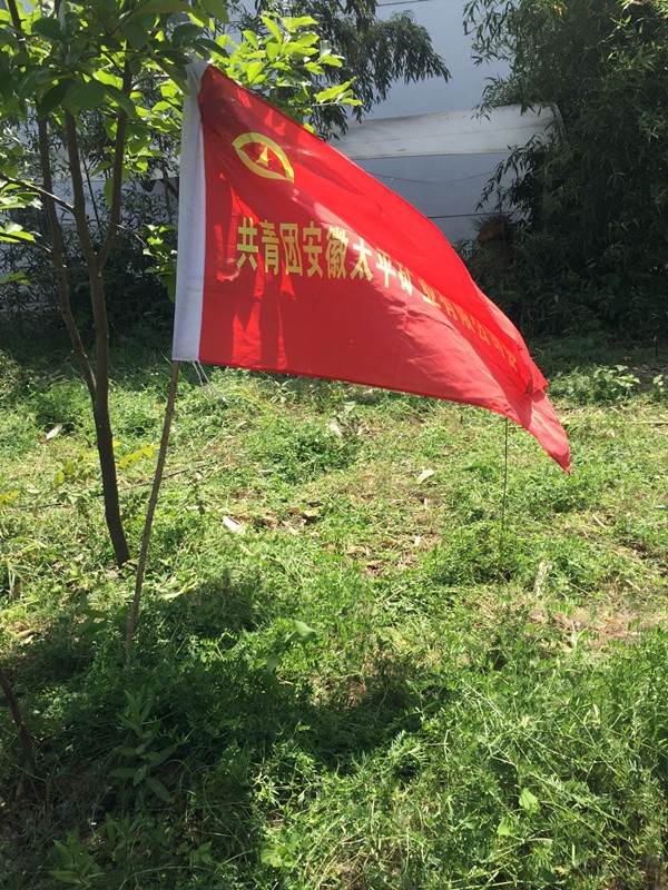 浜斿洓_鍓湰.jpg